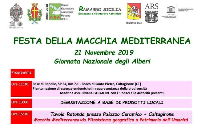 Oggi a Caltagirone Festa dell’Albero e della Macchia mediterranea, con i soci del "Ramarro"